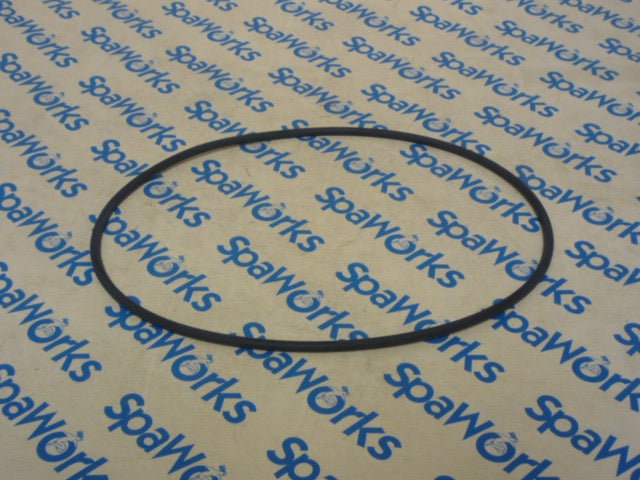 O-Ring: Volute LX Pump