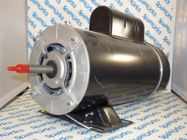 Motor Only: 1.5HP,2 Speed,115V (2002+ J-300/J-200 series)